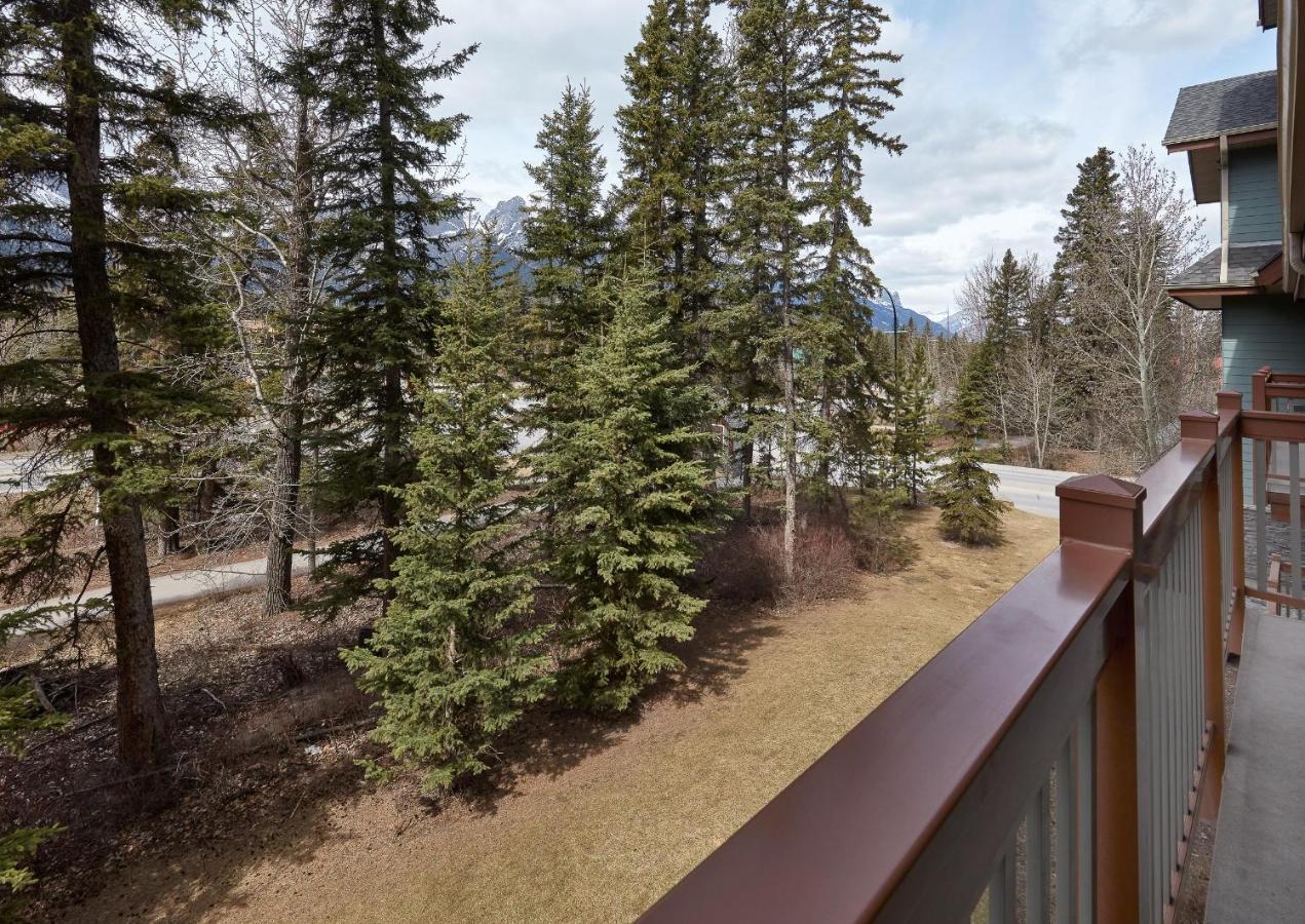 Newly Renovated Grizzly Lodge, Spacious 3Br 2Ba With Open Pool, Hot Tub Canmore Exteriör bild