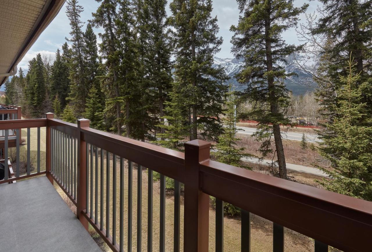 Newly Renovated Grizzly Lodge, Spacious 3Br 2Ba With Open Pool, Hot Tub Canmore Exteriör bild