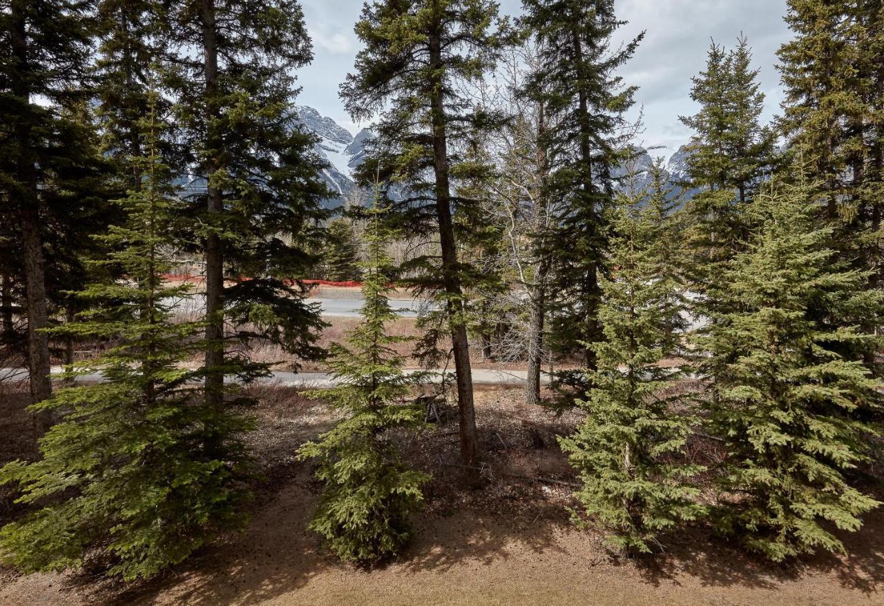 Newly Renovated Grizzly Lodge, Spacious 3Br 2Ba With Open Pool, Hot Tub Canmore Exteriör bild